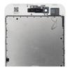 FixCell wyświetlacz do IPHONE  8 Plus Retina Biały (odnowiony)