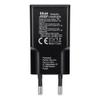 Ładowarka sieciowa do telefonu Blue Star Slim GaN 2 x USB C QC4.0 PD 3A 30W TFK-SC-30WCC czarna