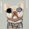 NIMMY futerał GLASSES COOL DOG do IPHONE 15 Pro Max szary