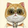 NIMMY futerał COOL&CUTE 2.0 Cat do IPHONE 15 Pro Max khaki
