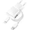 Ładowarka sieciowa do telefonu Blue Star USB A 1A 5W + kabel USB A do Lightning TFK-TC-1100B biała
