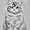 NIMMY futerał LUCKY FASHION CAT kompatybilny z MagSafe do IPHONE 18 Pro/17 Pro szary