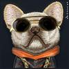 NIMMY futerał GLASSES COOL DOG do IPHONE 15 czarny