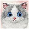 NIMMY futerał BIG EYED PET 2.0 Cat do IPHONE 16 różowy