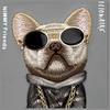 NIMMY futerał GLASSES COOL DOG do IPHONE 16 Pro Max szary