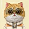 NIMMY futerał COOL&CUTE 2.0 Cat do IPHONE 16 Pro Max khaki