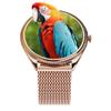 Smartwatch TITMO O-170 (AMOLED, bluetooth call, pasek stal szlachetna gold mesh) złoty 0INT
