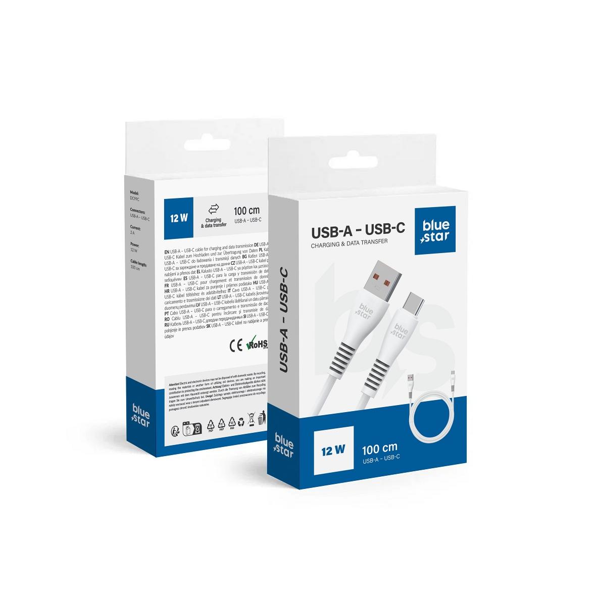 Kabel USB A do USB C Blue Star 2A 12W 1 m DC99C biały