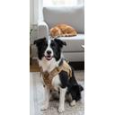 Akcesoria dla zwierząt