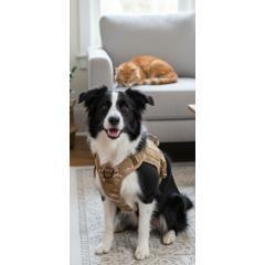 Akcesoria dla zwierząt