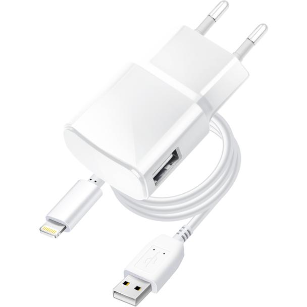 Ładowarka sieciowa do telefonu Blue Star USB A 1A 5W + kabel USB A do Lightning TFK-TC-1100B biała