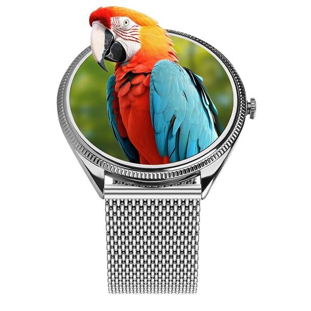 Smartwatch TITMO O-170 (AMOLED, bluetooth call, pasek stal szlachetna silver mesh) srebrny 0INT