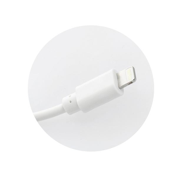 Ładowarka sieciowa do telefonu Blue Star USB A 1A 5W + kabel USB A do Lightning TFK-TC-1100B biała
