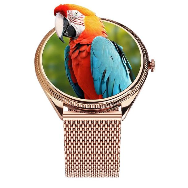 Smartwatch TITMO O-170 (AMOLED, bluetooth call, pasek stal szlachetna gold mesh) złoty 0INT