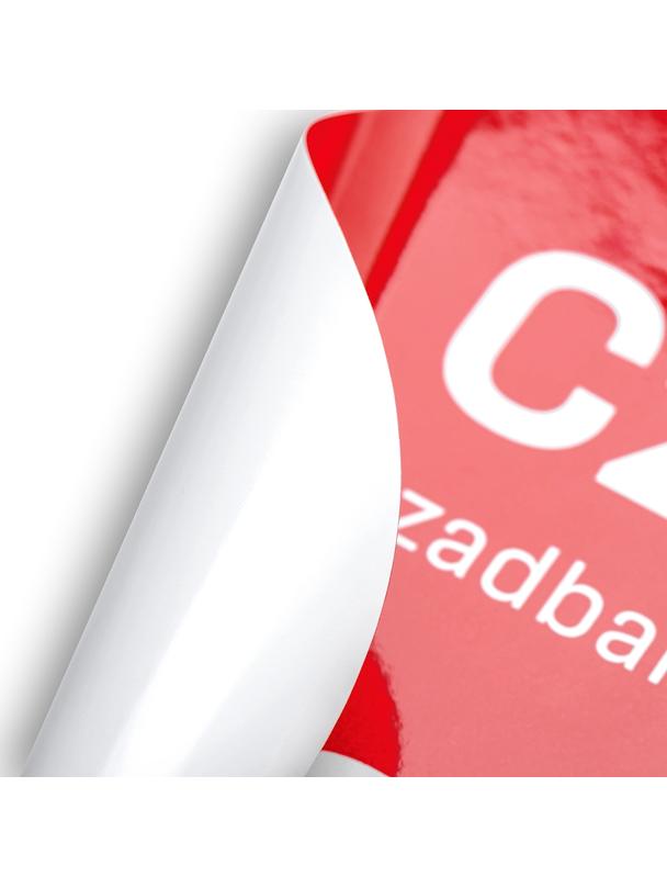 Naklejka na szybę Forcell