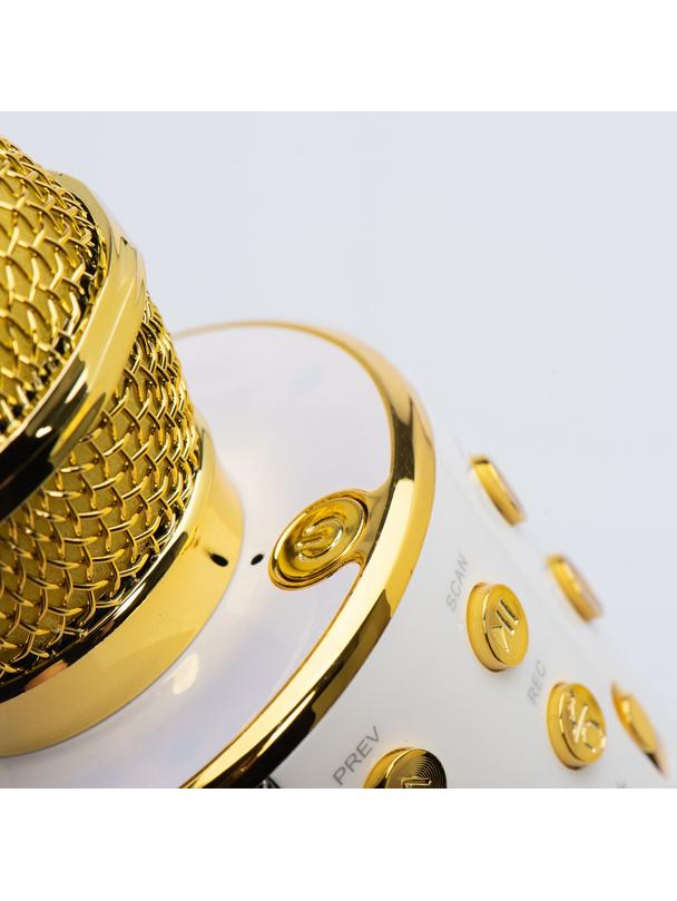 Mikrofon multimedialny karaoke CR58S HQ złoty