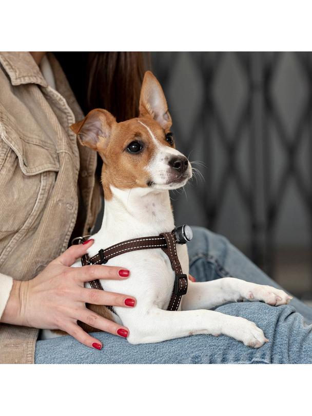 Ładowalna lampka dla psa dla średnich i dużych psów UMO24011