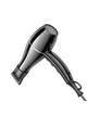 Suszarka do włosów Hoco HP12 czarna
