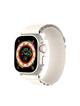 DUX DUCIS pasek GS nylonowy do Apple Watch 38 / 40 / 41 mm platynowy