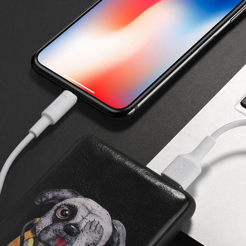 Kabel USB A do Lightning Hoco 2A 1 m X25 biały