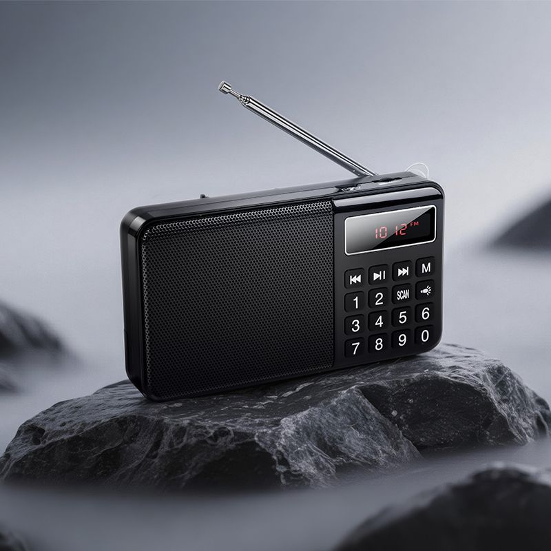 Portable radio Hoco HI50 black